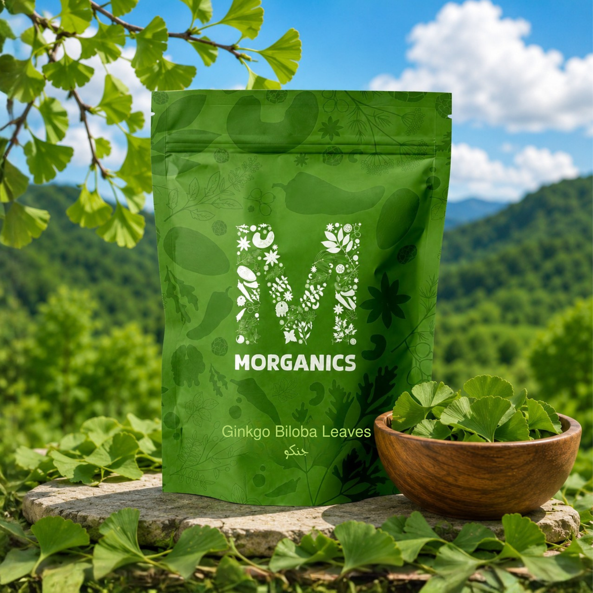 Ginkgo Biloba Leaves – جنکو