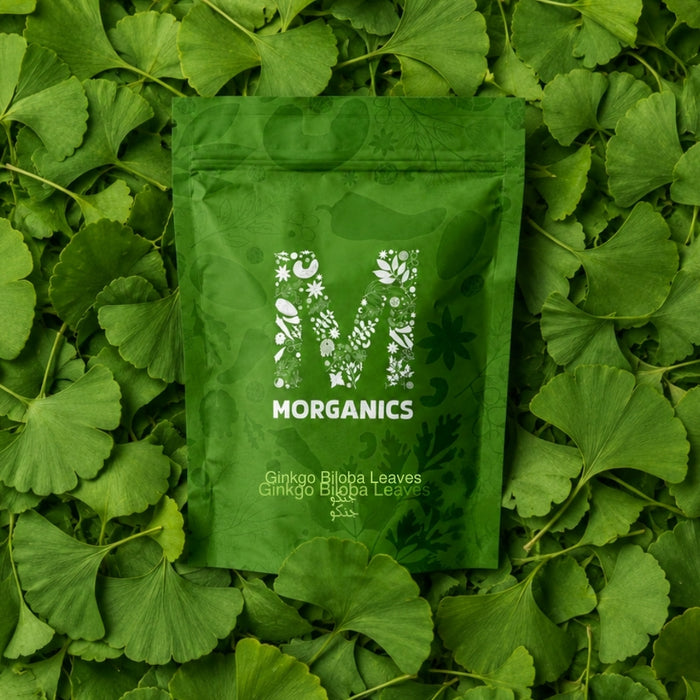 Ginkgo Biloba Leaves – جنکو