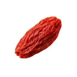 Kajo Sada