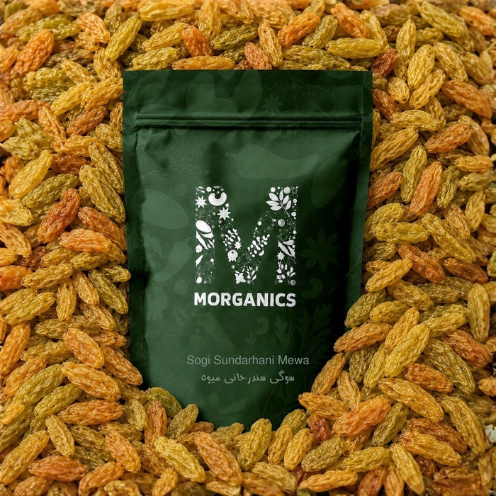 Sogi Sundarhani Mewa – سوگی سندرخانی میوہ