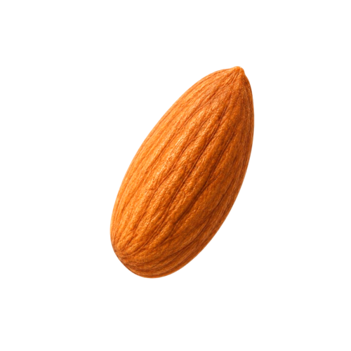 Badam Sabat