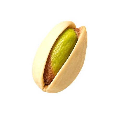 Pista Maghaz